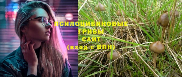 амф Балахна