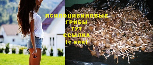 амф Балахна