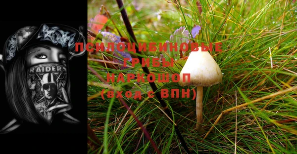 амф Балахна
